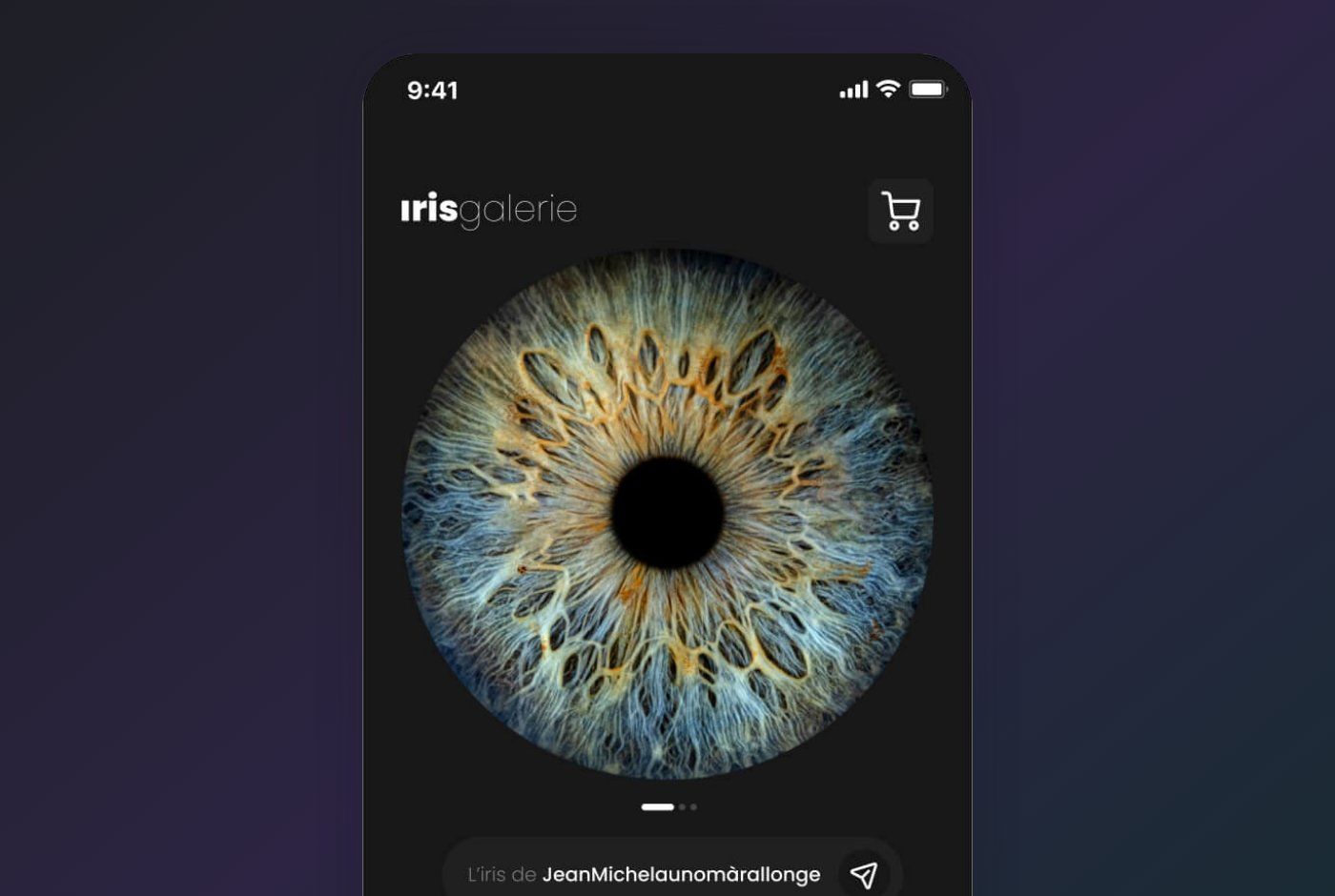 Projet Iris Galerie